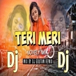 TERI MERI (Lovely Mix) Dj Al Ft Dj Goutam BGR