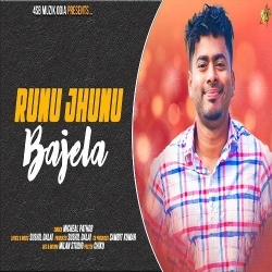 Runu Jhunu Bajela (Micheal Pathor)