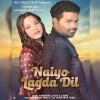 Naiyo Lagda Dil (Sambalpuri Song)