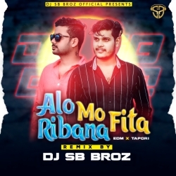 Alo Mo Ribana Fita (EDM x Tapori) DJ SB BroZ Official