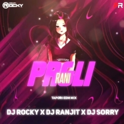 Pagli Rani (Tapori X Edm Mix) Dj Rocky X Dj Ranjit X Dj Sorry