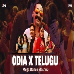 Odia X Telugu (2024 Mega Dance Mashup) Dj Papul