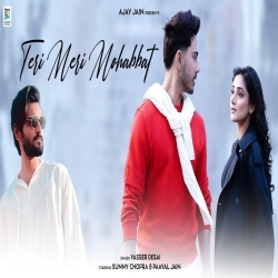 Teri Meri Mohabbat