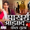 Pakhara Aazad Kela Tula (Remix)