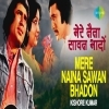 Mere Naina Sawan Bhadon