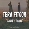 Tera Fitoor (Slowed Reverb)