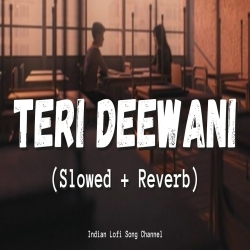 Teri Deewani (Slowed Reverb)